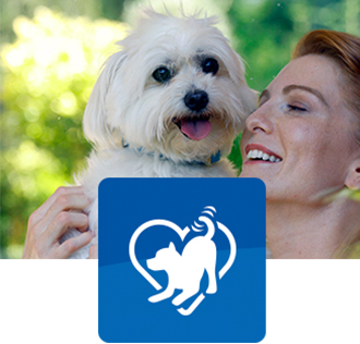 scruffy dog lying on the couch with pet parent and dog gut icon