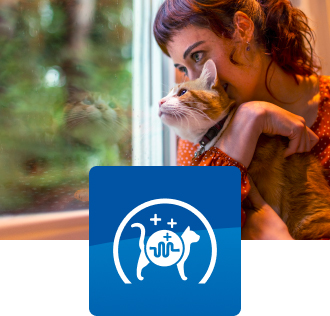 woman holds an orange cat looking out the window with a cat gut icon