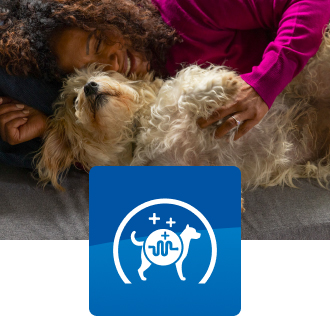 scruffy dog lying on the couch with pet parent and dog gut icon