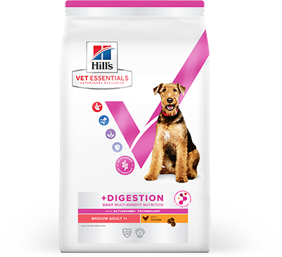 Hill’s Vet Essentials Dental Health Dog Food